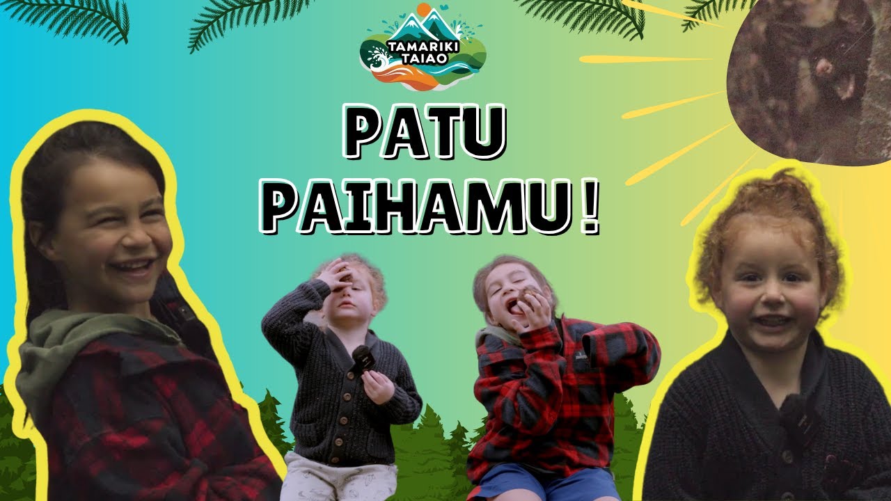 Kaiwhare and Rehua possum trapping in the ngahere