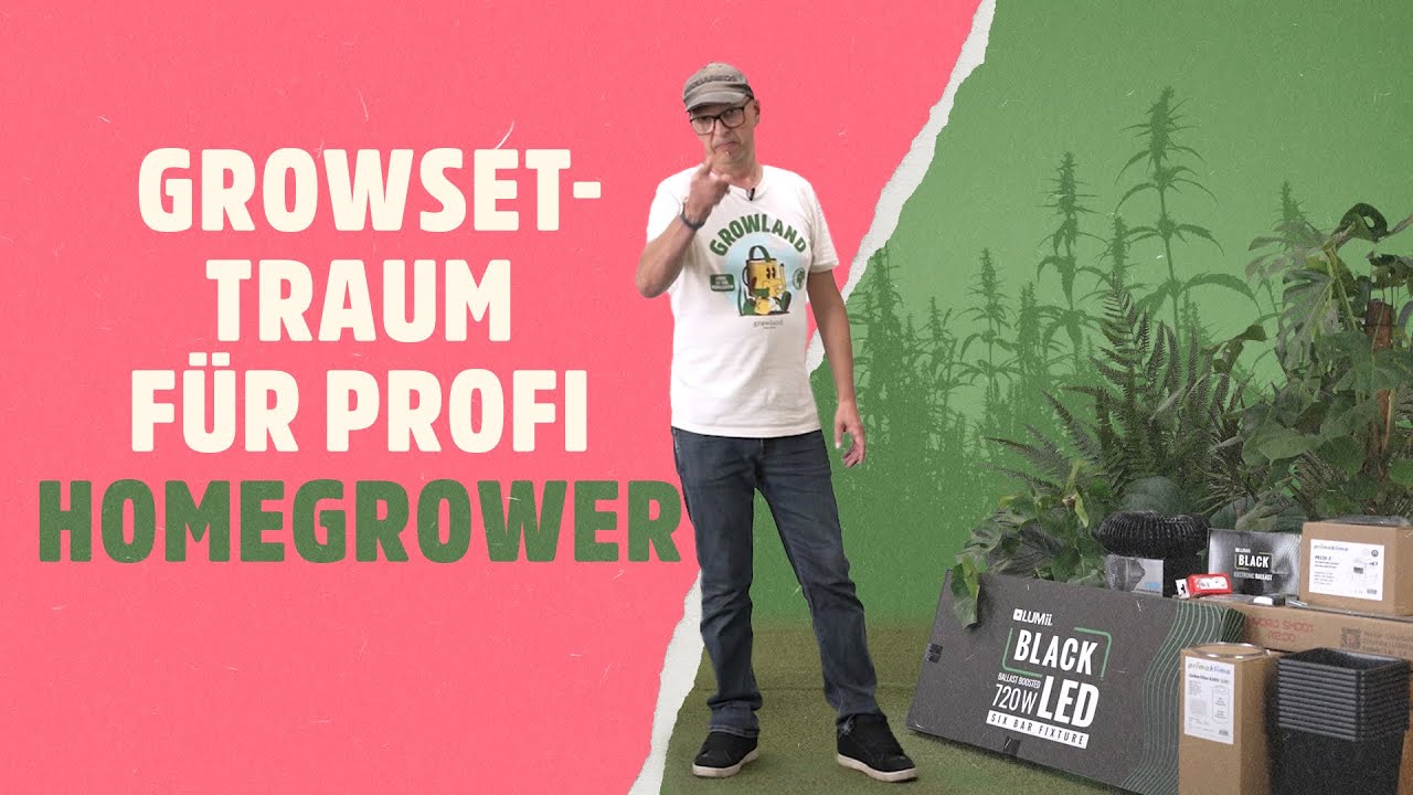 So geht Pro-Homegrow: ausführliches Tutorial für XL Growbox Set