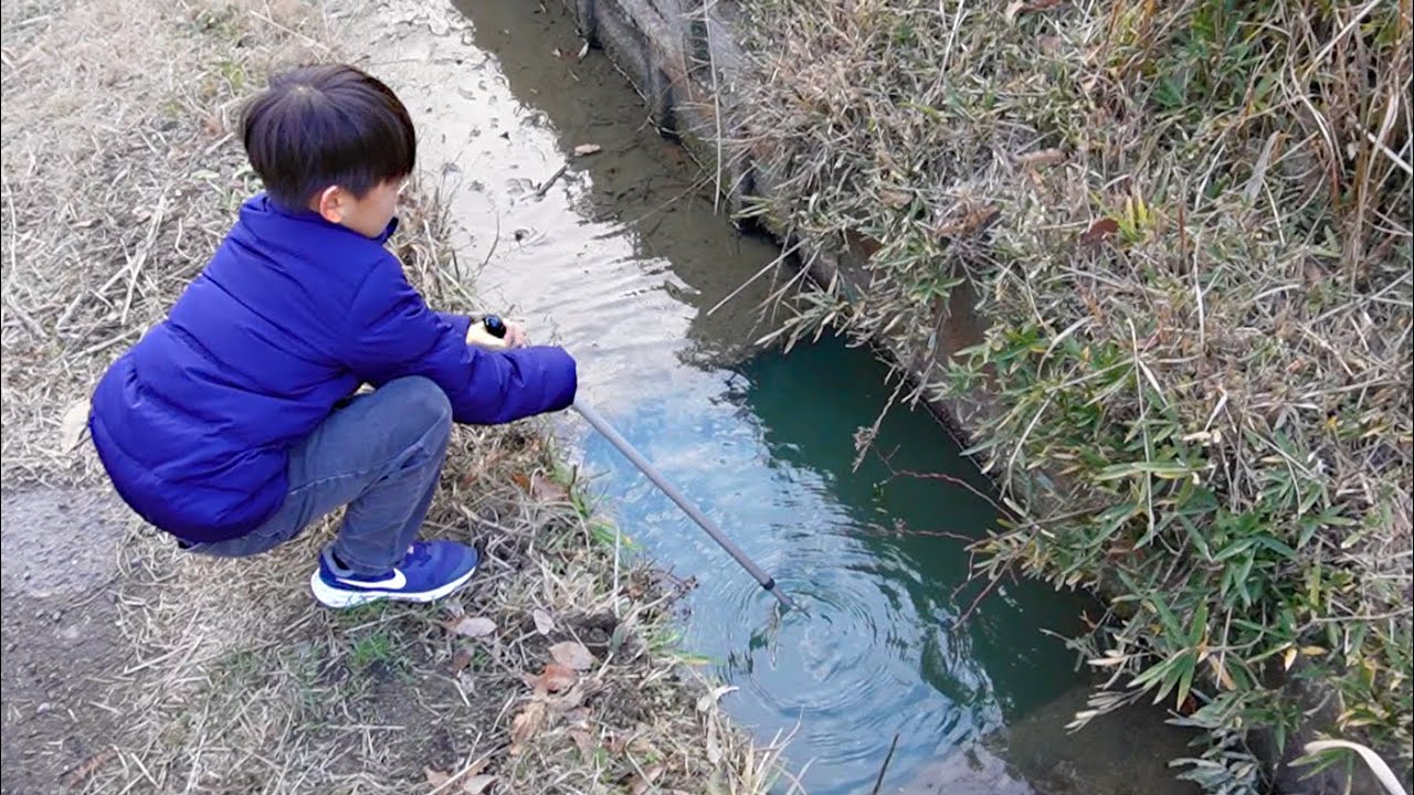 いくらでも魚が捕れる穴