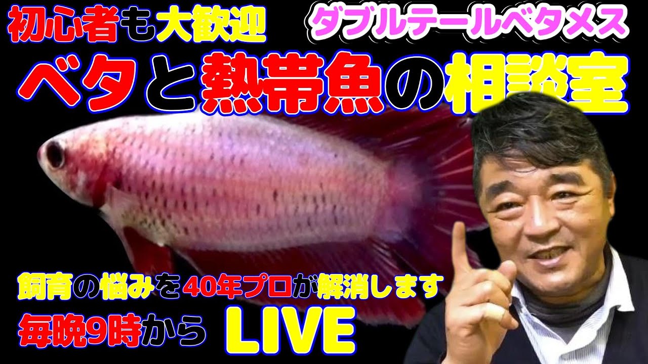 【創業40周年】ベタとアクアの何でも相談室　2026年1月30日