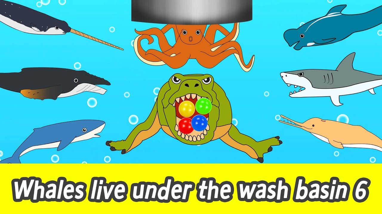 [EN] Whales live under the wash basin 6, kids animals animation, whales adventureㅣCoCosToy