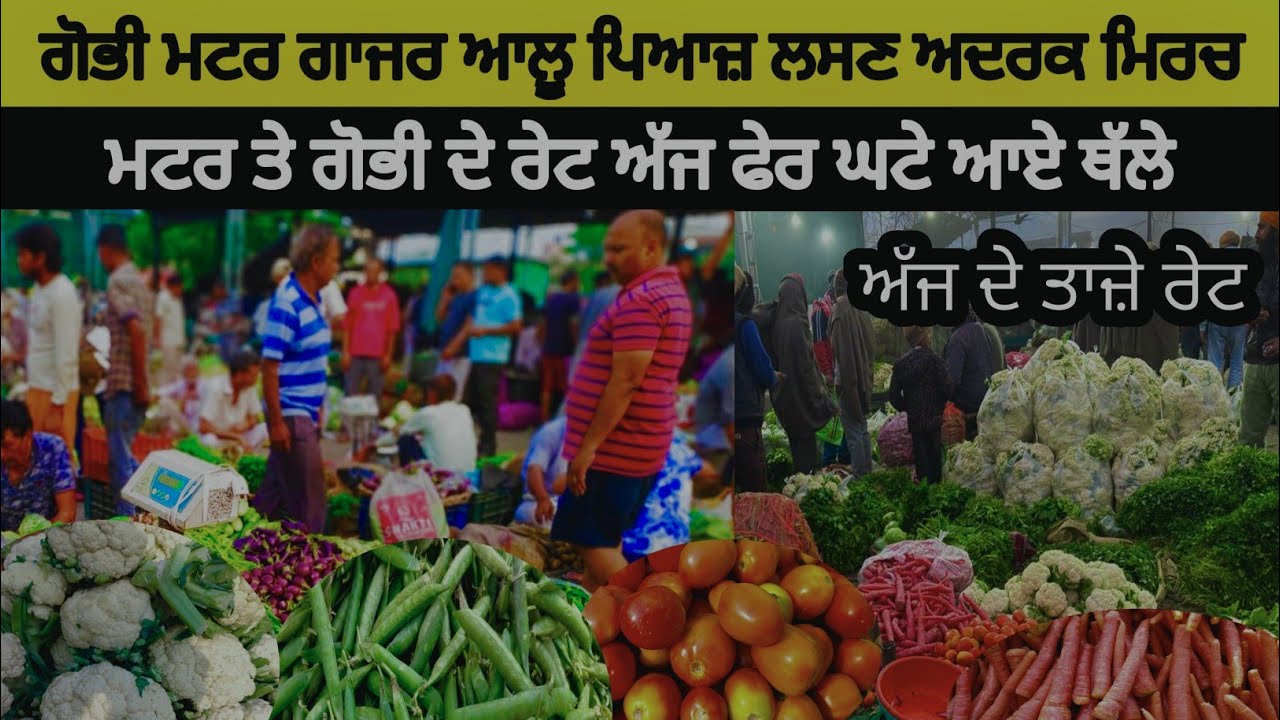 Market price in Punjab 7-2-2026