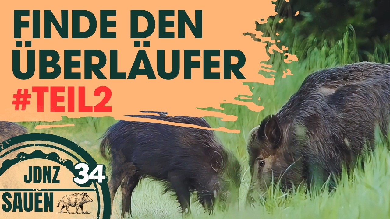 LEBENSKEILER oder &Uuml;BERL&Auml;UFER? Was h&auml;ttest Du in diesem Moment der Entscheidung getan?
