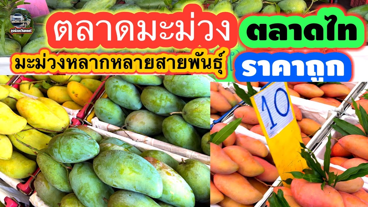 #ตลาดมะม่วง#ตลาดผลไม้ฤดูกาล#มะม่วงเข้าใหม่#ราคาถูก#ตลาดไท#คลองหลวง#ปทุมธานี#ลุงน้อยchannel