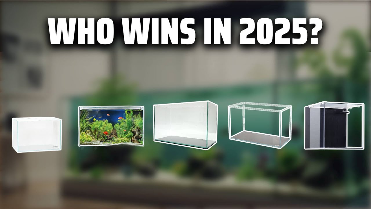 The Top 5 Best 10 Gallon Rimless in 2025 - Must Watch Before Buying!