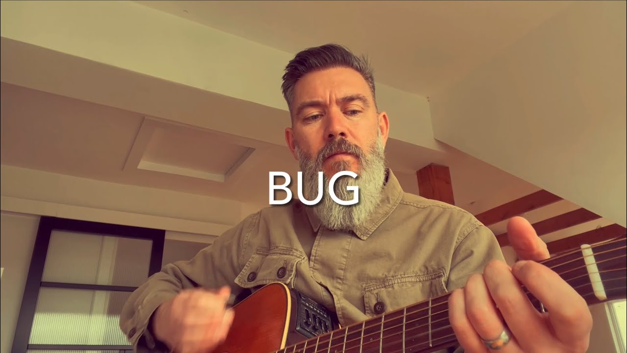 Bug - (Fontaines DC) Acoustic Cover