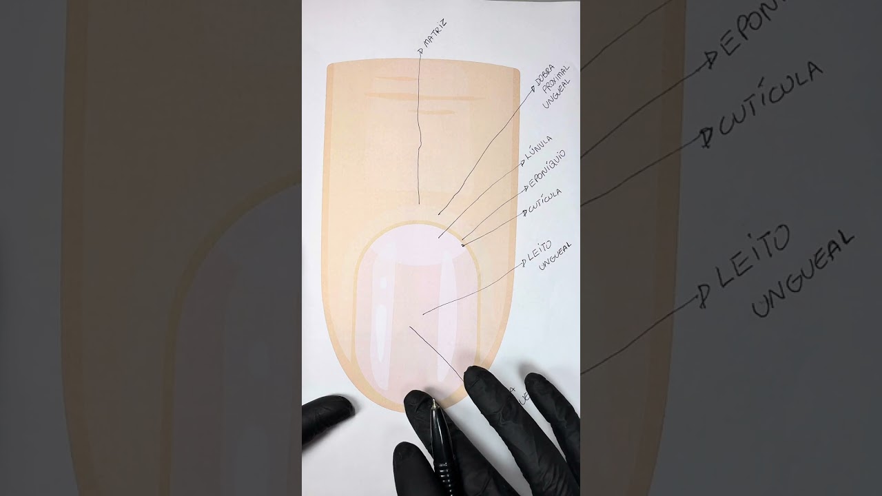 Tudo Sobre Lâmina Ungueal | Passo a Passo para Nail Designers 