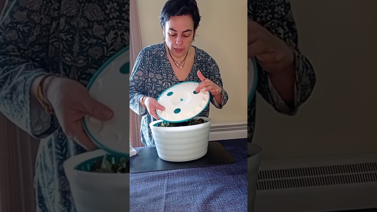 Centrifugador de tupperware