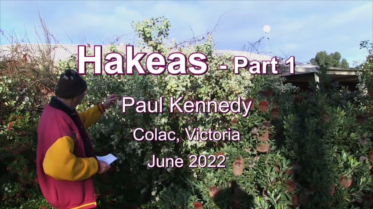 Paul Kennedy Hakeas   Part 1 June 2022
