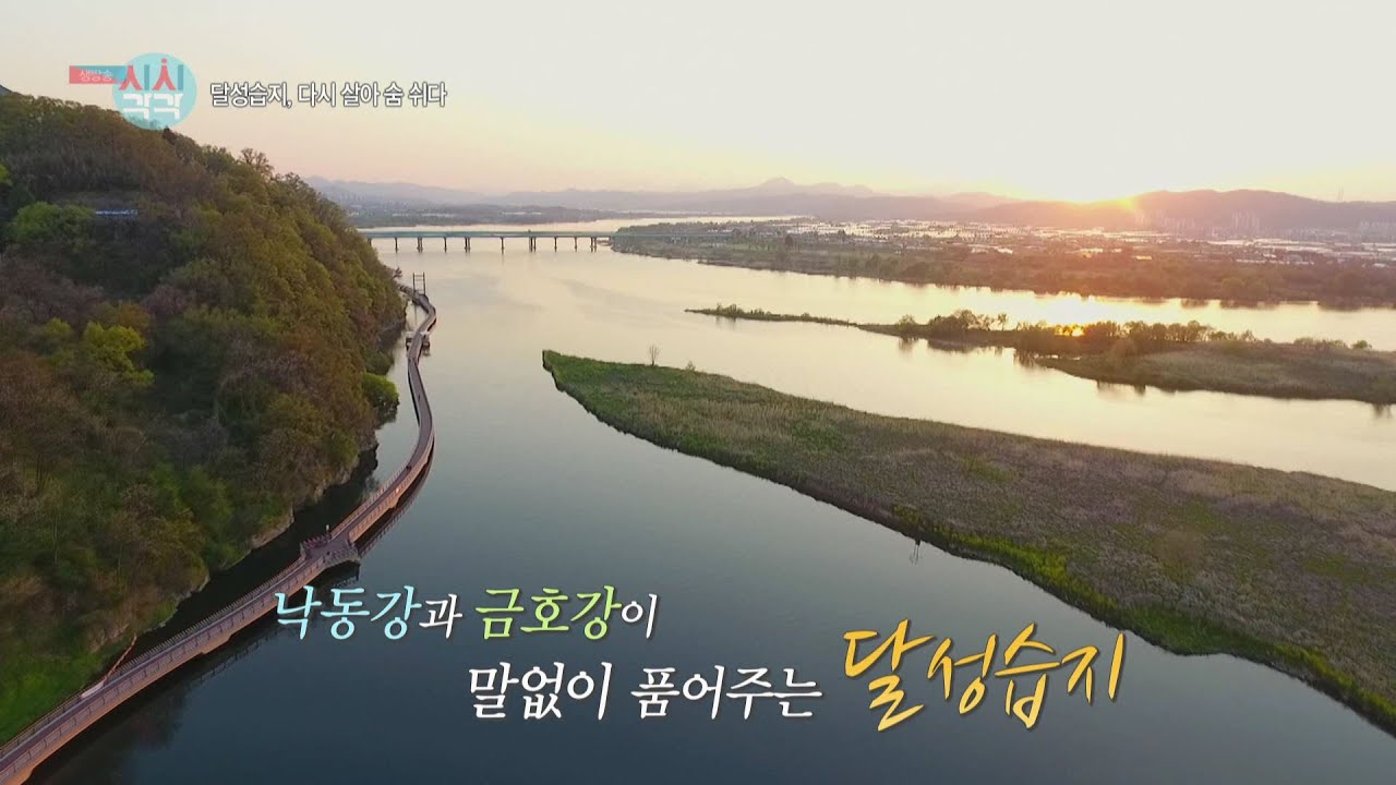 20년 복원사업 완료! 돌아온 달성습지