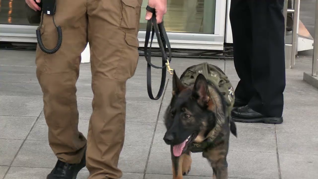 Public Safety A Top Priority at Super Bowl LX