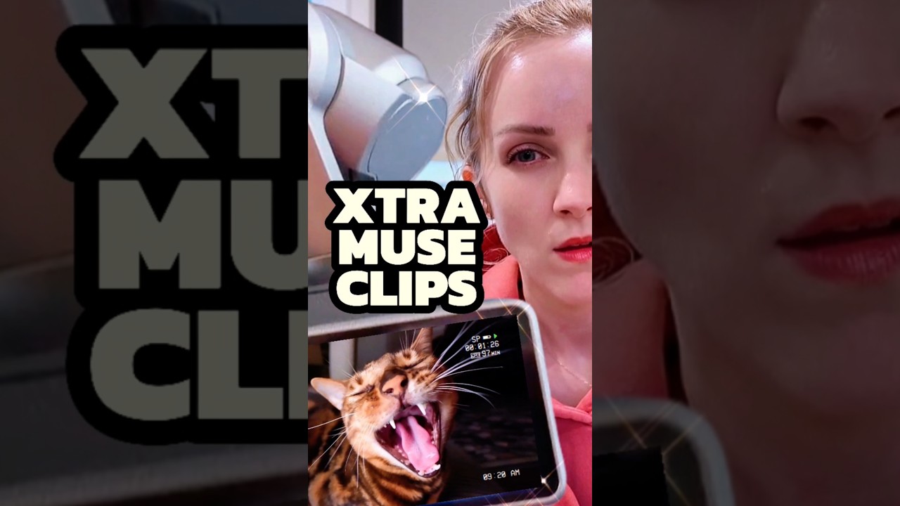 Зачем вообще покупать?! Видео от Xtra Muse | #xtramuse #vlogcamera #gimbal #djipocket3 #techshort...