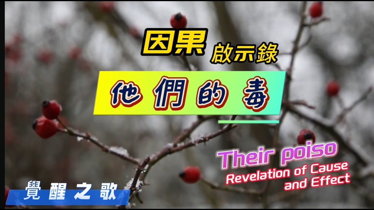 【他們的毒~因果啟示錄】The Poison They Sow - 跨越十年民謠搖滾#多行不義，業力必自食#寫給現實世間的因果啟示錄 #小號狂飆#唱出世間因果的真實迴響#俠客mama心靈DJ點歌單
