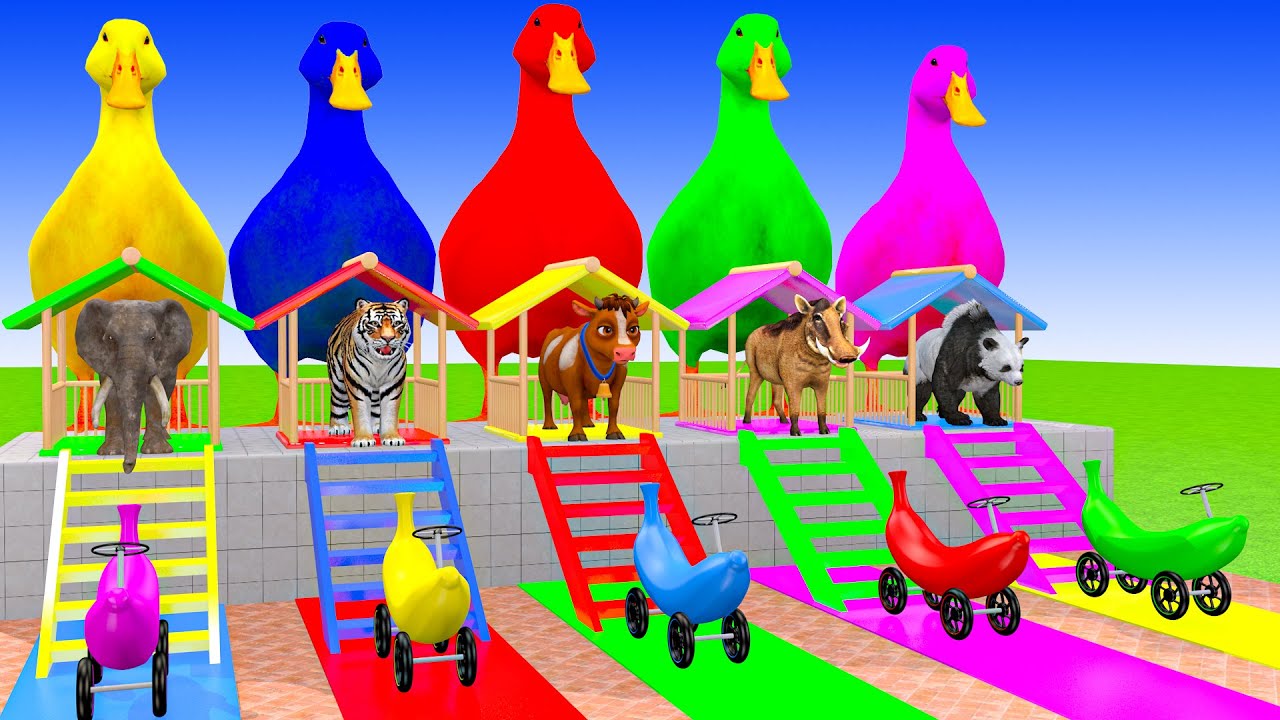 Long Slide Game With Cow Elephant Gorilla Hippopotamus Tiger 3d Animal Game Funny 3d Animals