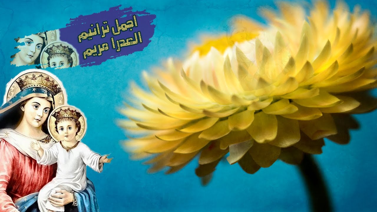 اجمل ترانيم العدرا _ترانيم صوم العدرا