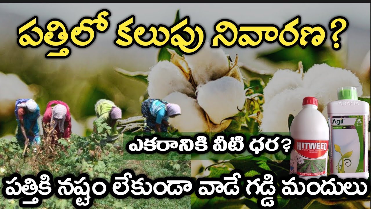 పత్తిలో కలుపు నివారణ | Pathilo kalupu nivarana | pathi lo gaddi mandu | Rythuseva Agritech