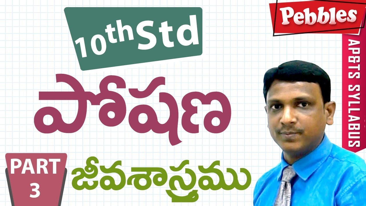 Nutrition lesson | కిరణజన్య సంయోగక్రియ | Photosynthesis | Class 10 Biology | Telugu medium | Part-3