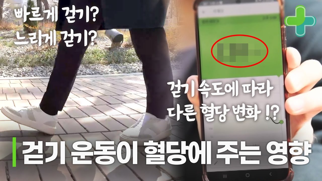 식후 1시간, 걷기 운동이 혈당에 영향을 미친다?