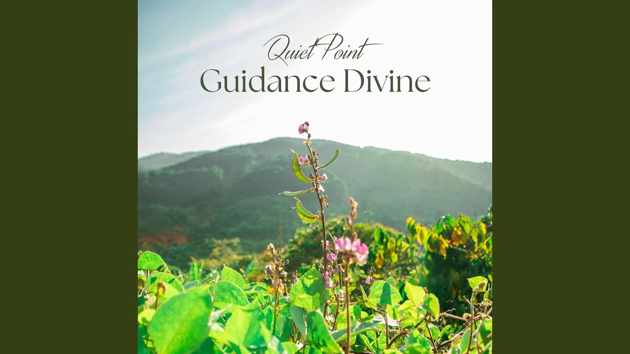 Guidance Divine