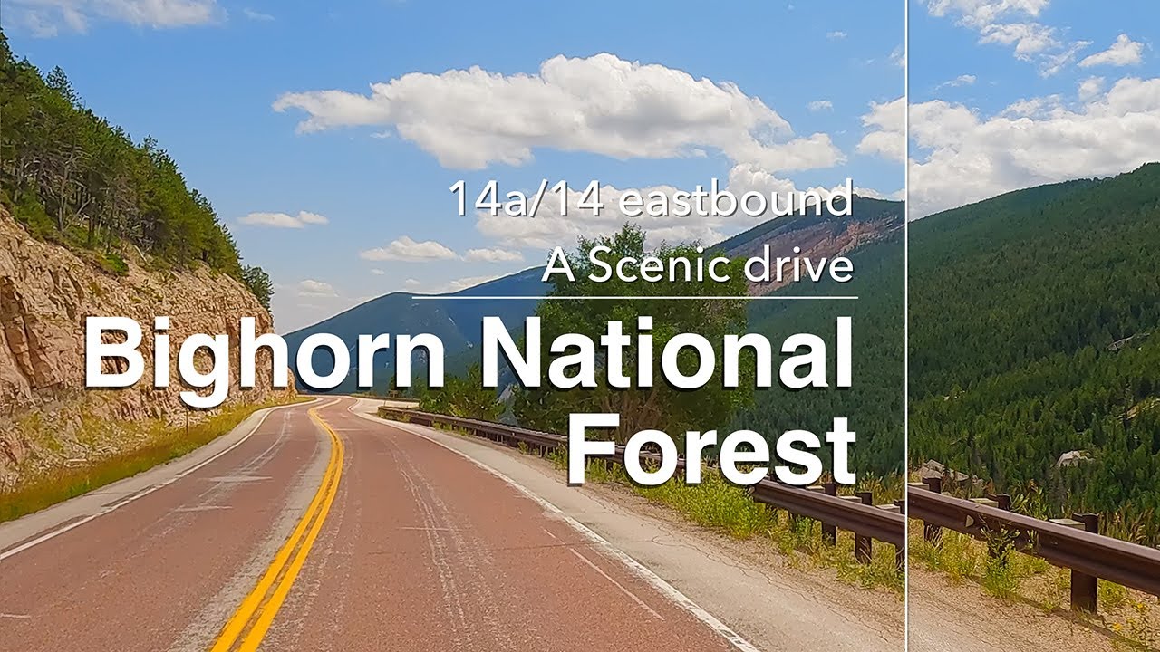 A Scenic Drive through the Big Horn National Forest, Hwy 14/14a  Medicine wheel passage, 7/31/24