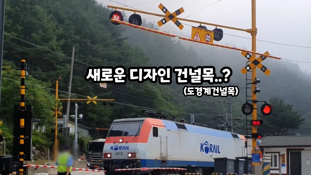 [새로운 모습의 건널목] 도경계건널목을 통과하는 무궁화호#1680 (#1)
