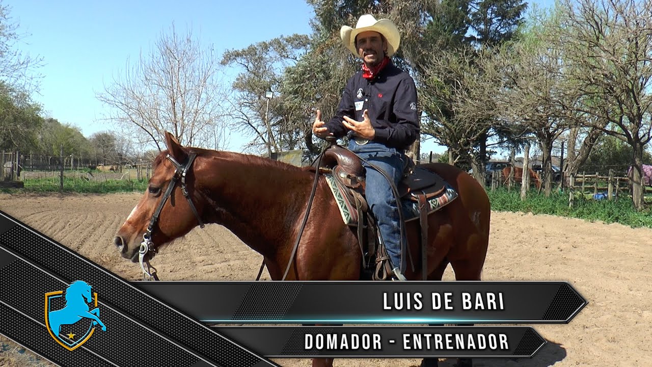 Caballos Argentinos TV - Luis De Bari - Rienda