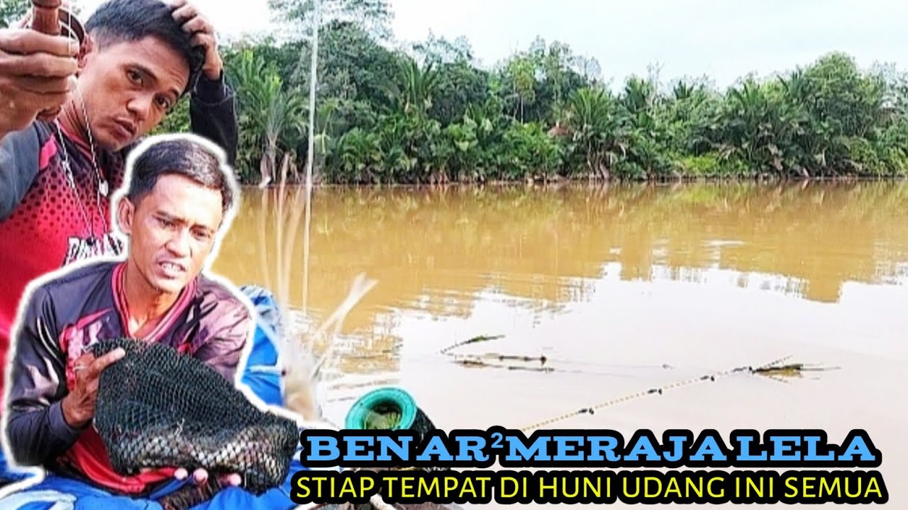 TAK DI SANGKA MANCING UDANG SAAT ARUS MATI,BANYAK DAPAT SAMBARAN UDANG SEPERTI INI