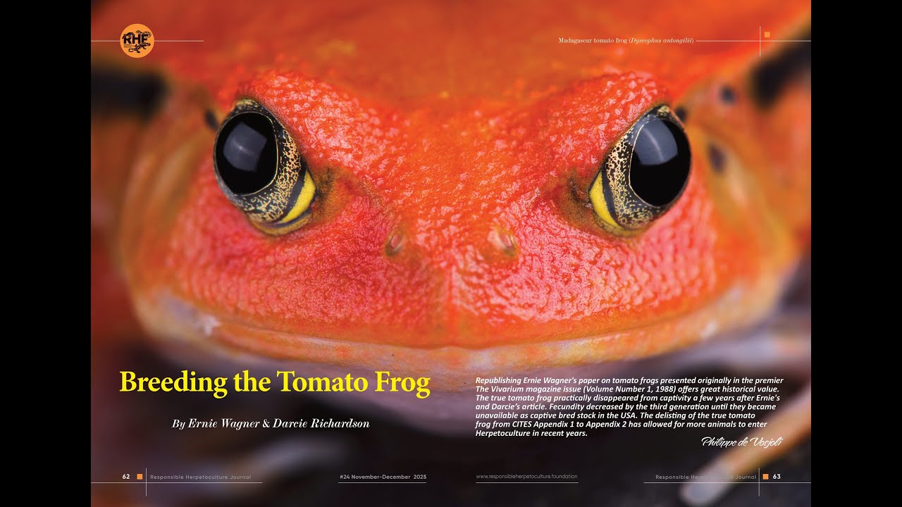 RH Journal issue #24