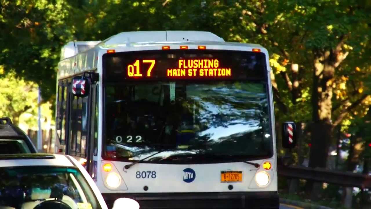 MTA New York City Bus & MTA Bus : 164th St & Horace Harding Expwy [ Queens Division Q17, Q65 & Q88 ]