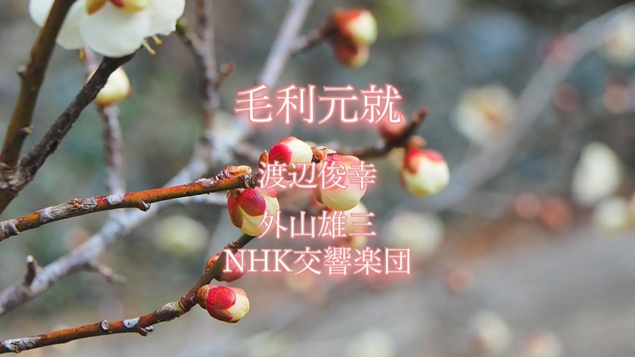 【NHK大河ドラマ】(1997年) 毛利元就,渡辺俊幸,外山雄三,NHK交響楽団,