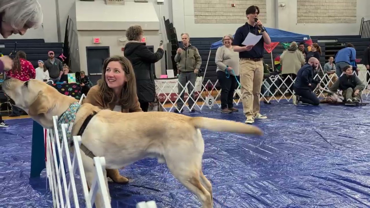 VINS Dog Show | Promo | 2026