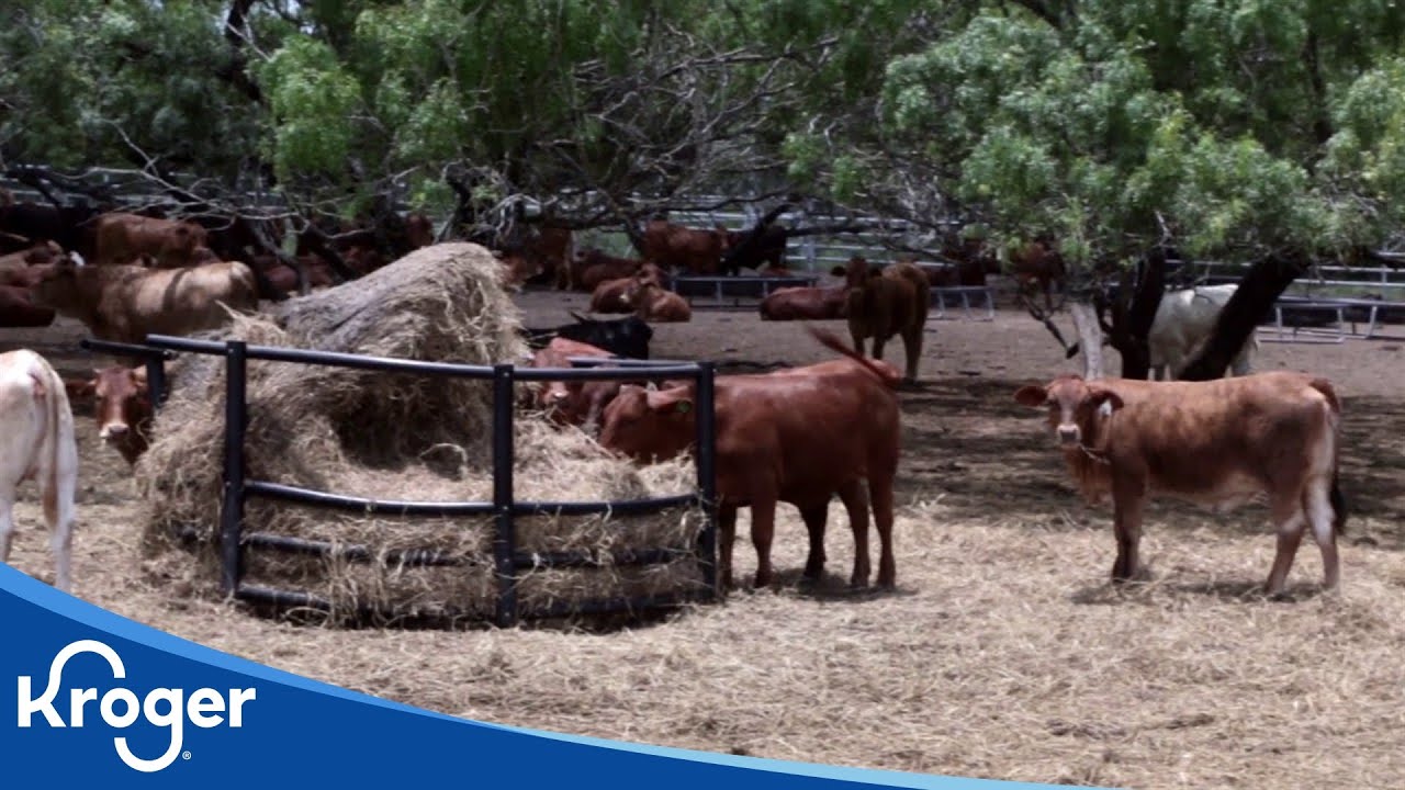 Nolan Ryan's All Natural Farm | Kroger Partners | Kroger