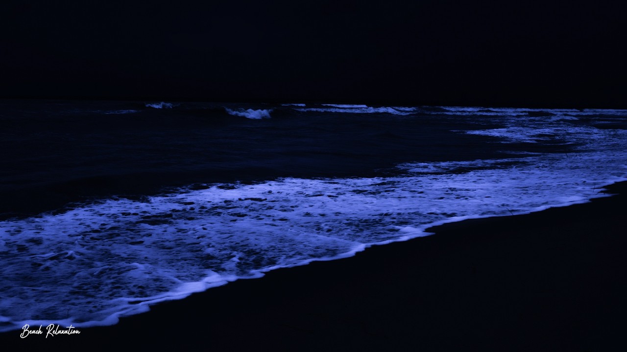 Relaxing Ocean Waves (No Ads) - Enjoy Deep, Restful Healing Sleep - Activate Body Regeneration