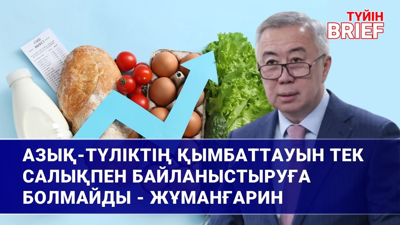 Бизнеске салықтық жеңілдіктермен емес субсидиямен көмектесу керек | BRIEF. Түйін | 08.03.2026
