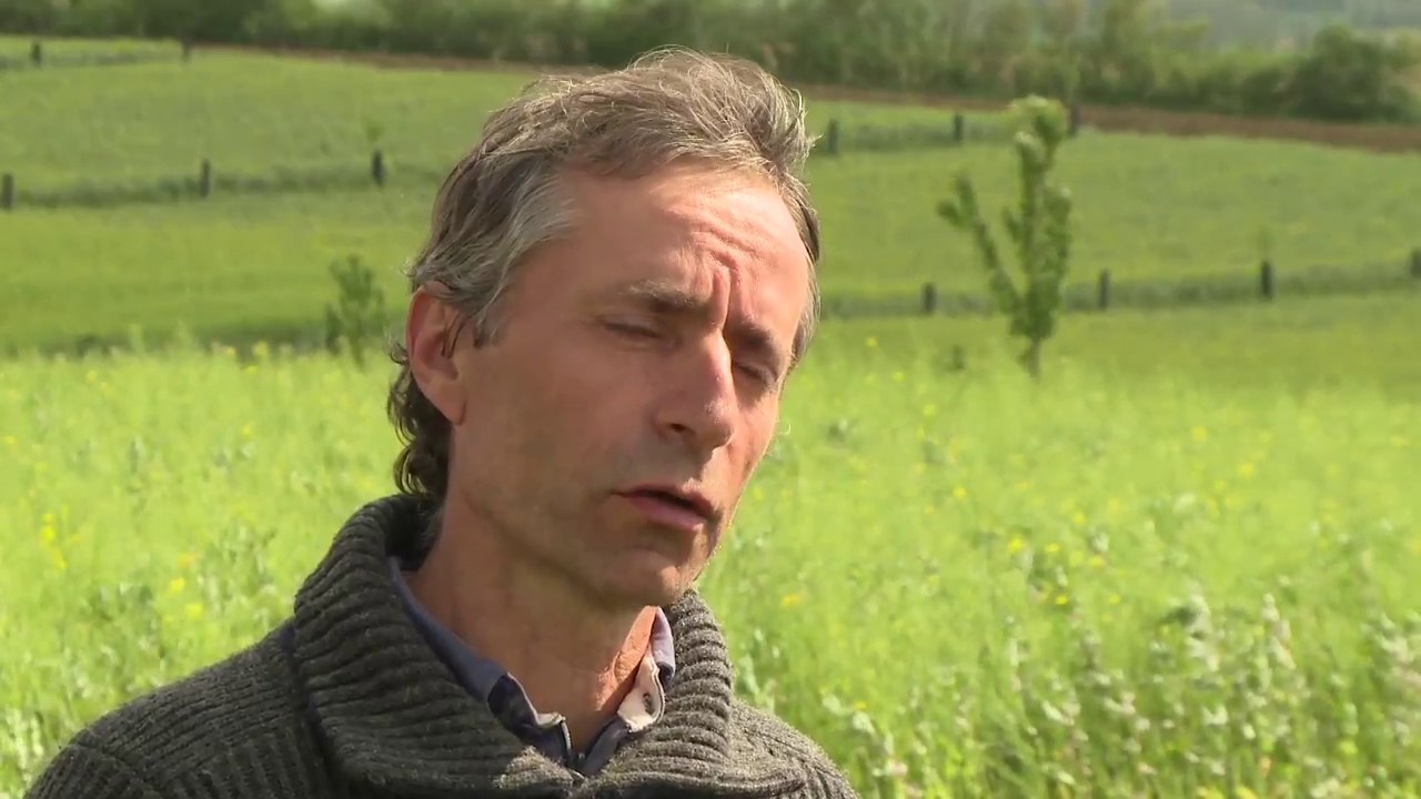 Alain Daguzan : Gestion de l’enherbement et de la fertilité en AB