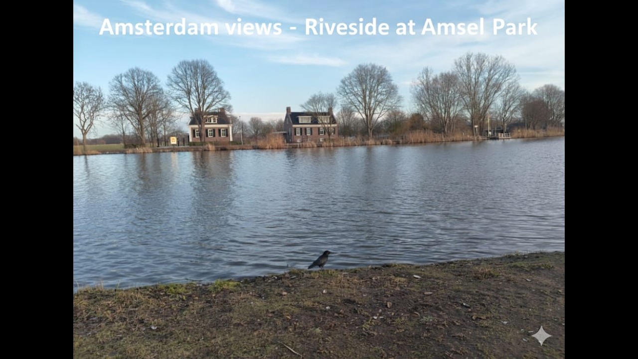 One Minute of Calm: Golden Hour on the Amstel River 🌊