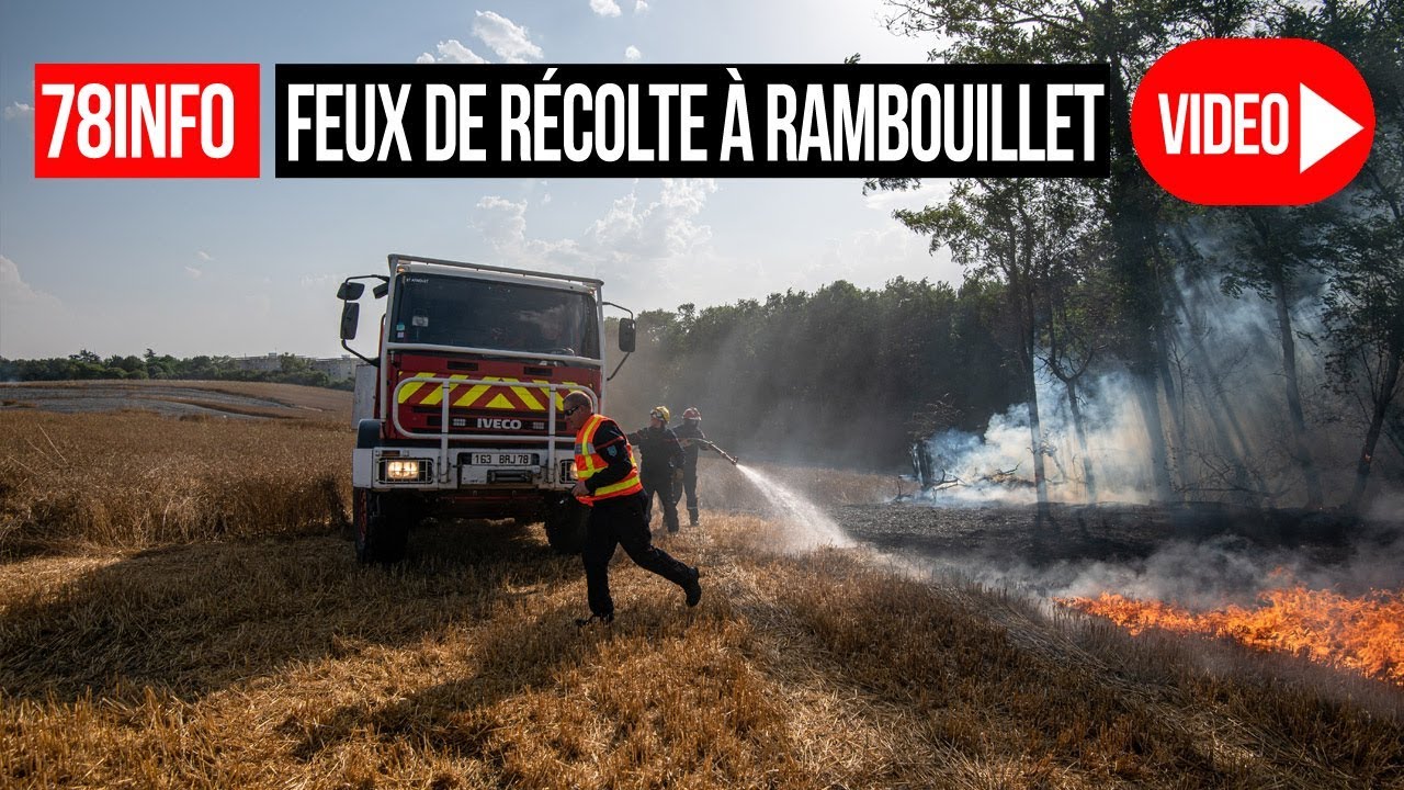 [78INFO] Feu de Récolte sur Pieds à Rambouillet le 25 juillet