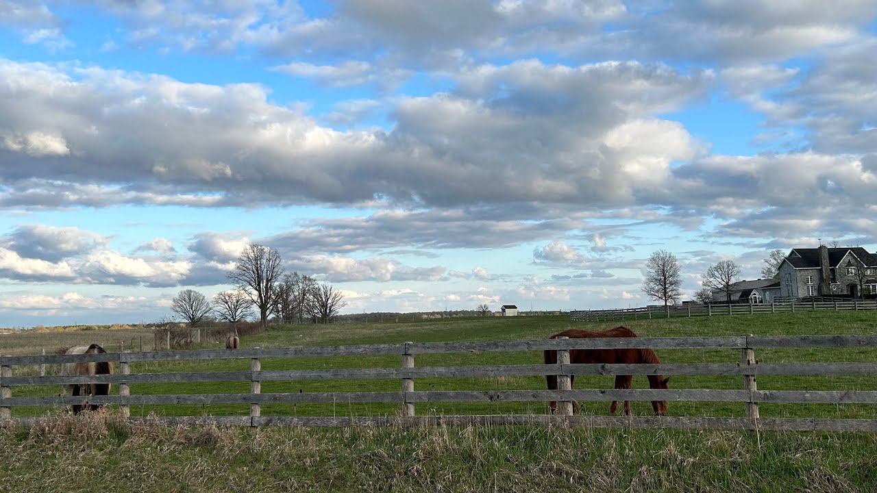 Amish Community In Ontario, Canada.