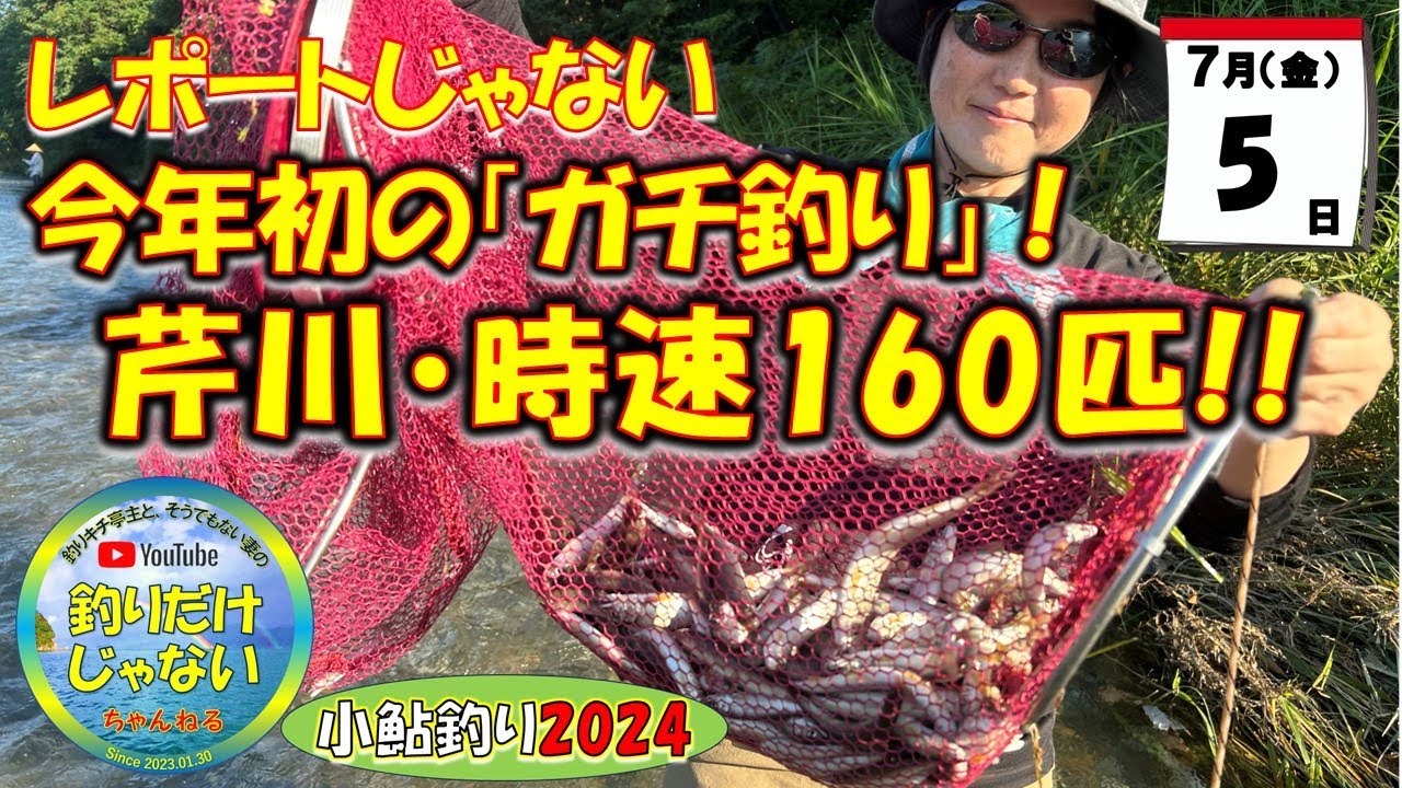 「お前、Youtubeやめろ！」現地でクレーム言われました。今回の動画は、芹川・犬上川に来られる方、必ず見てください。７月５日（金）、今年初めての小鮎・ガチ釣り。抜群のコンディションの芹川。爆釣。
