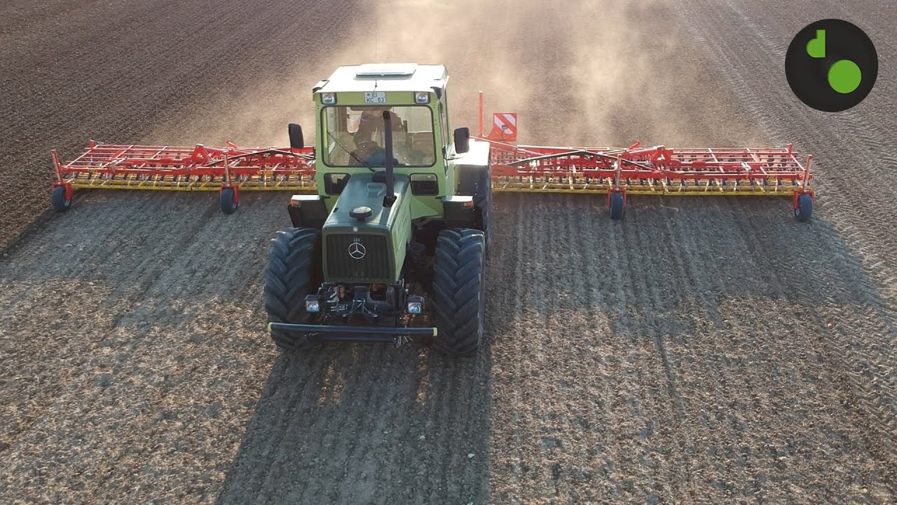 Erbsen striegeln | MB Trac 1000 | APV VS 1200 M1