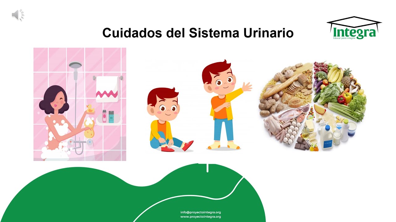 Cuidados del Sistema Urinario