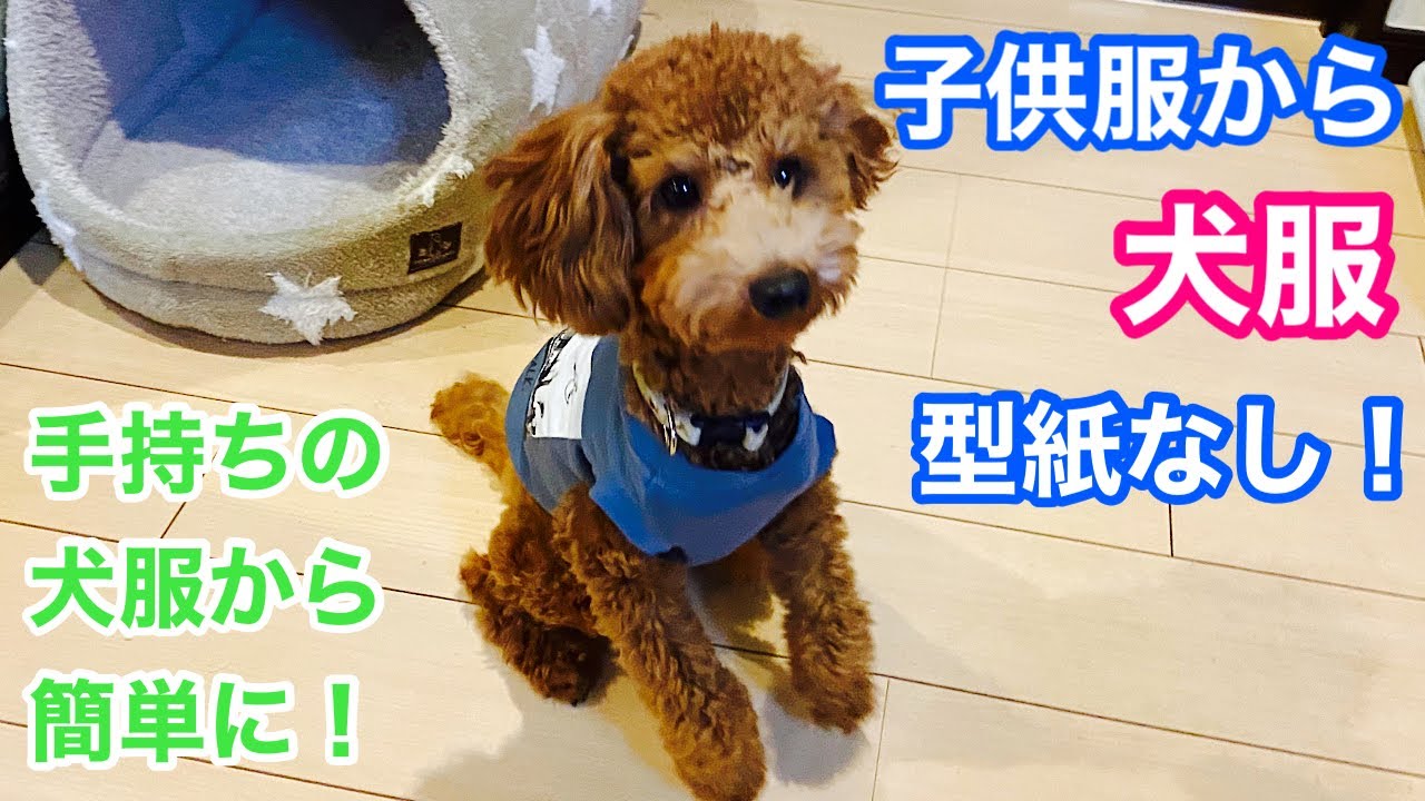 【大型犬もOK！】人間用Tシャツから型紙なしで犬服