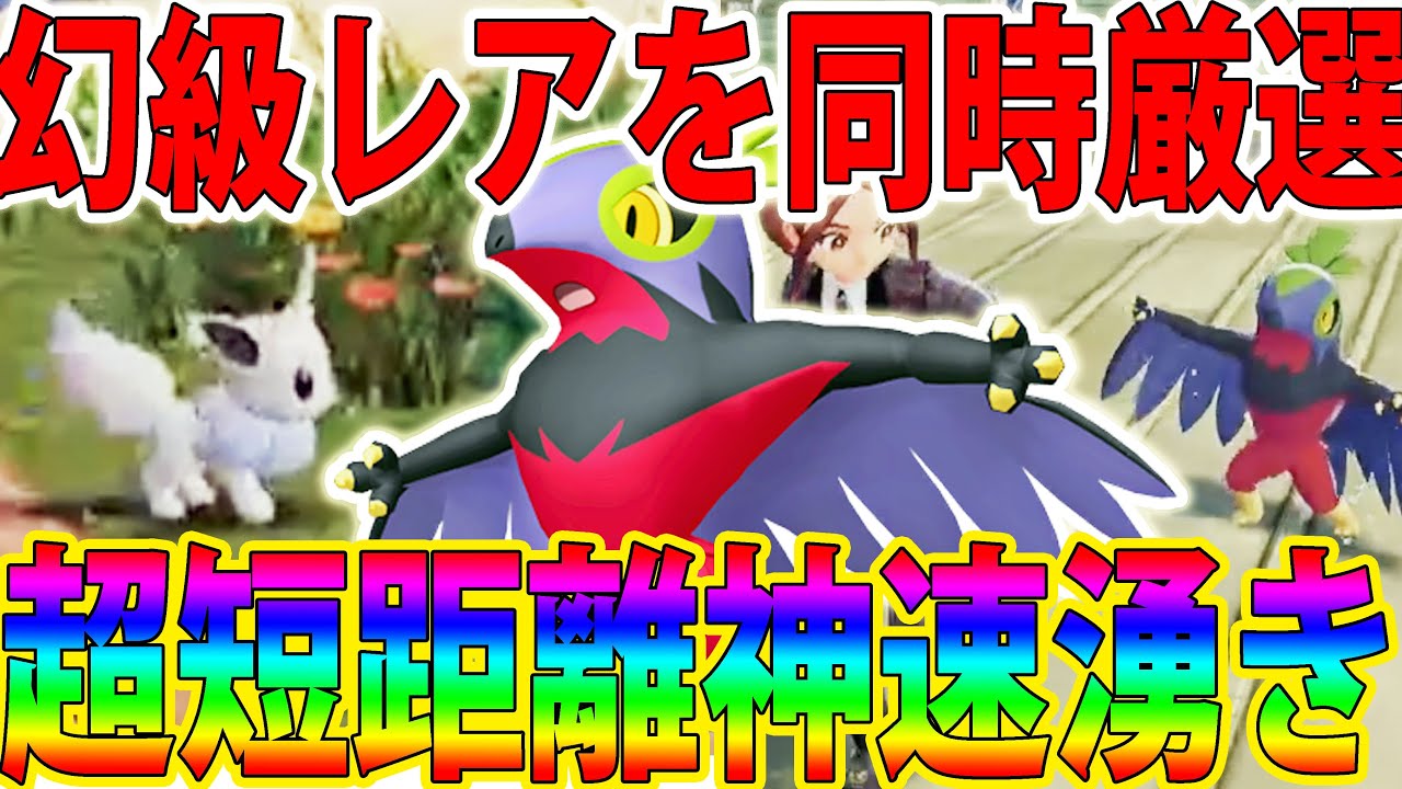 【チート級】「色違いルチャブル＆色違いイーブイ」を短距離＆簡単に入手できる色厳選が最強です【ポケモンレジェンズZA/Pokémon LEGENDS Z-A】