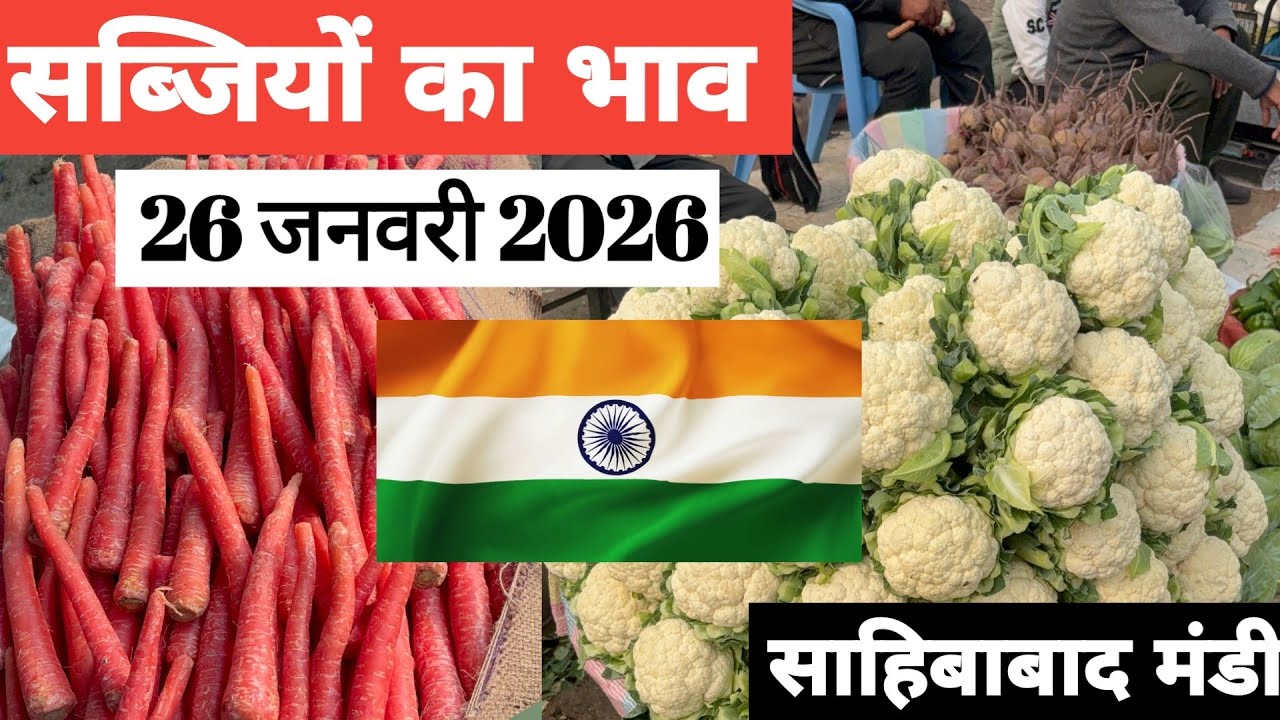 26 January 2026 🥬🫑 🥦 सब्जियों का भाव साहिबाबाद मंडी | today vegitables rates #mandirates 