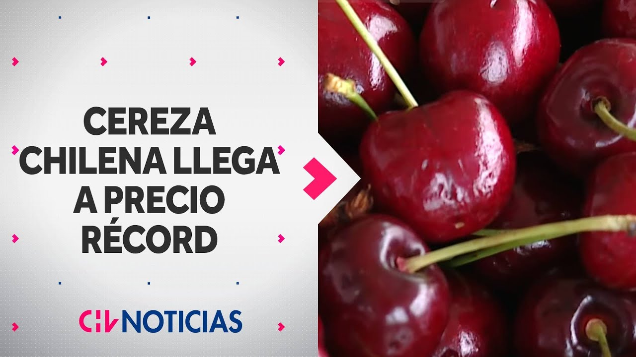 Cerezas chilenas son FUROR EN CHINA: Alcanz&oacute; un precio r&eacute;cord en las &uacute;ltimas semanas