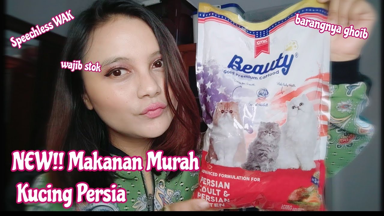 Review Beauty Persian Gold Premium / Bedah Komposisi makanan murah kucing ras persia! Mixdome juga??