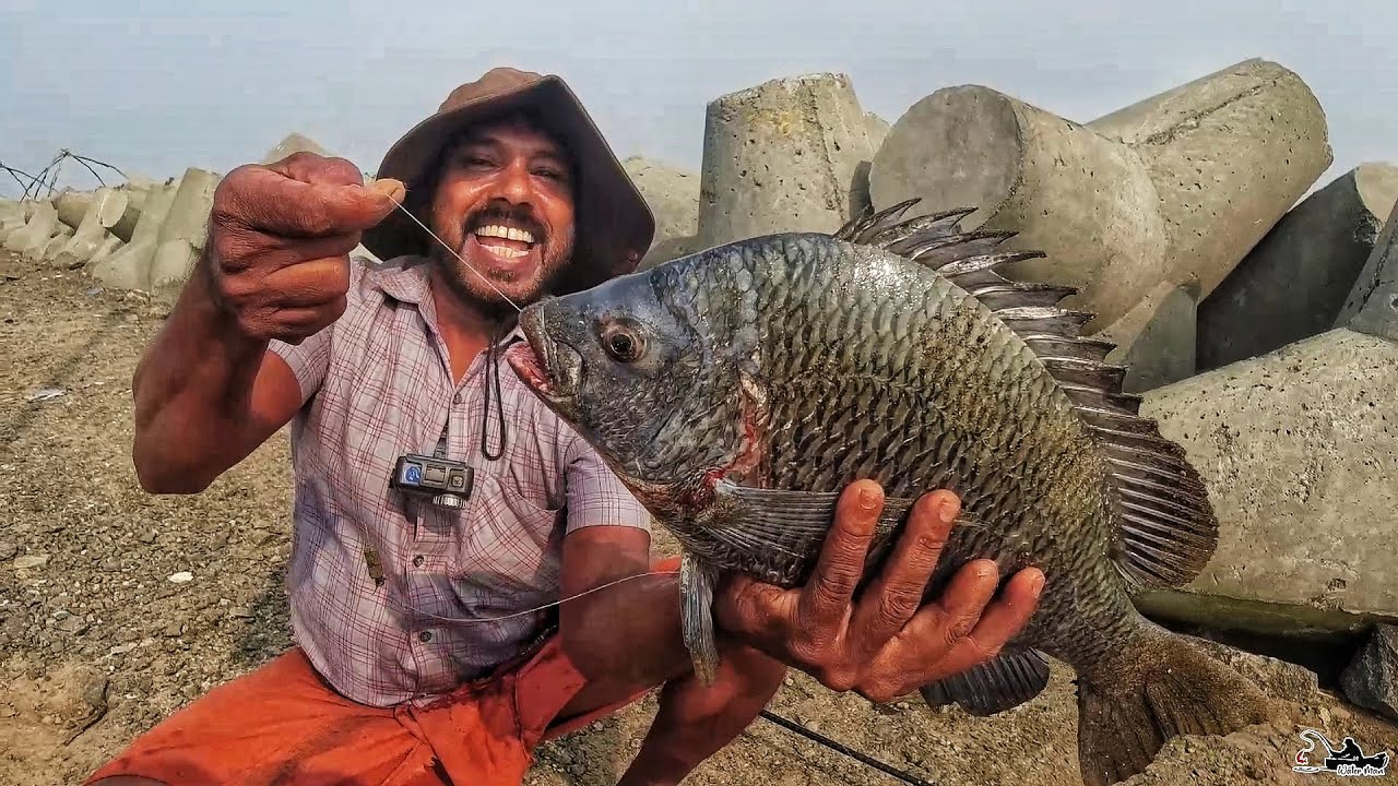 WATERMAN / emperor fishing ( ഏരി )