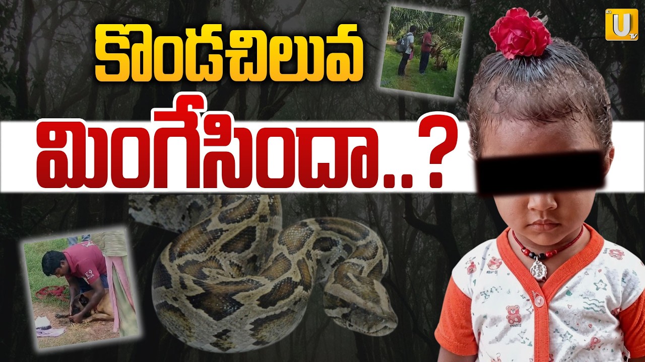 Python Swallowed Jahnavi? 🐍😱 : కొండచిలువ మింగేసిందా ..? : Kakinada Jahnavi | #itsutvprimenews