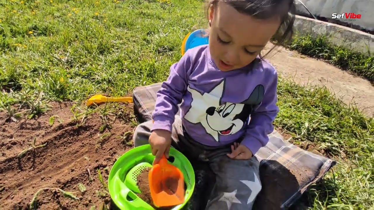Perşembe Yaylası’nda 4 Gün Yerimizde Durmadık | Ordu Yayla Vlog