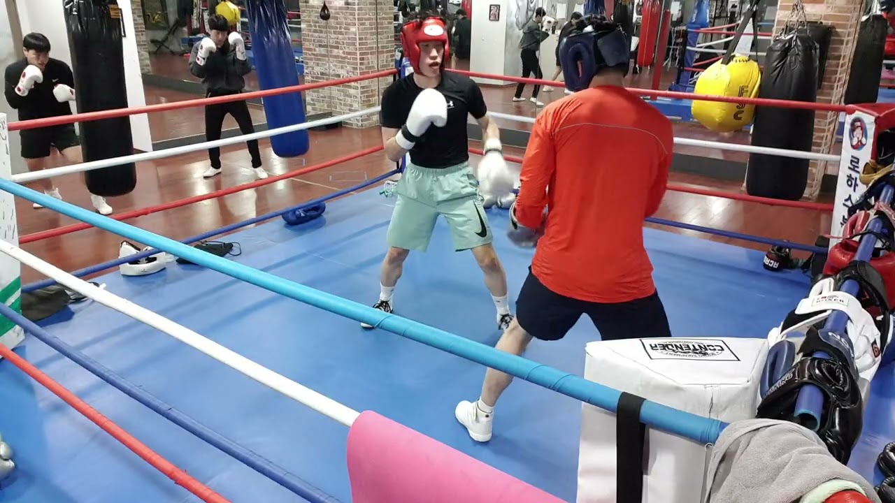 20260226 유성구 신성동 로하스복싱 제형 vs 도겸 